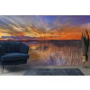 Sunset Reeds Wall Mural by Danguole
