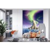 Arctic Kiss Wall Mural by Jerry Lofaro