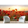 Poppy Field II Wall Mural by Steffen Gierok