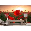 Poppy Field III Wall Mural by Steffen Gierok