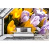 Spring Wall Mural by Steffen Gierok