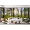 Spring Sun Wall Mural by Steffen Gierok