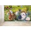 Bunnies Wall Mural by David Penfound