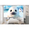 Seal Pups Wall Mural by David Penfound