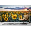 Sunflower Field IV Wall Mural by Steffen Gierok