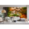 Country Lane at Sunset Wall Mural by Andrew Roland