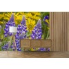 Balsamroot & Lupine Flowers Wall Mural by Jaynes Gallery - Danita Delimont