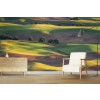 Colorful Palouse Wall Mural by Gerald Macua