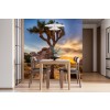 Charming Sunset At Joshua Tree National Park Wall Mural by Melanie Viola