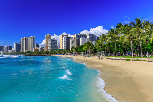 Honolulu Beach Wall Mural<